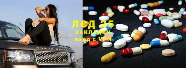 стафф Арсеньев