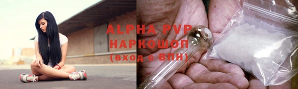 стафф Арсеньев