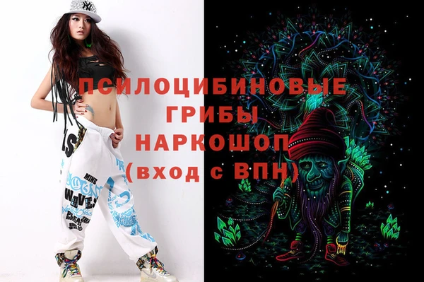 стафф Арсеньев