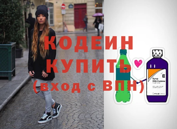 гашик Тайга