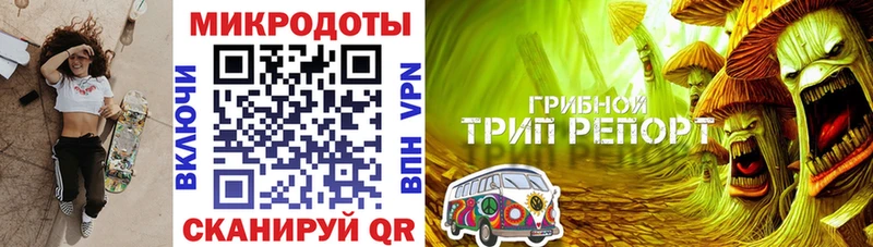 Галлюциногенные грибы Psilocybe  это наркотические препараты  Электрогорск 